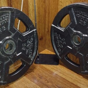 Gold's Gym Pair Of 25 lb Weight Plates